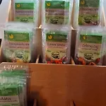 U Vlku Gæstehus
