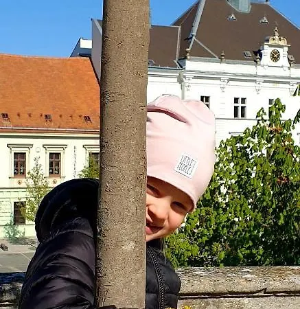 U Vlku