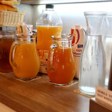 Maison d'hôtes U Vlku Valtice