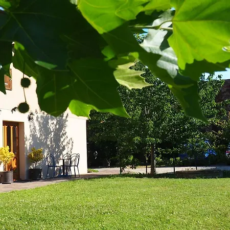 Maison d'hôtes U Vlku 4*