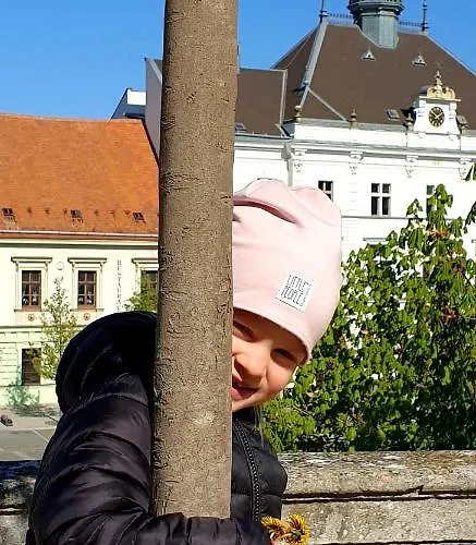 U Vlků